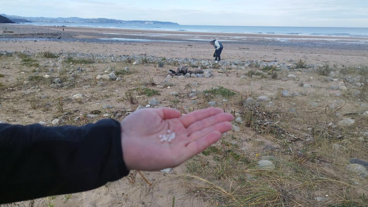 Limpieza de pellets en una playa asturiana.