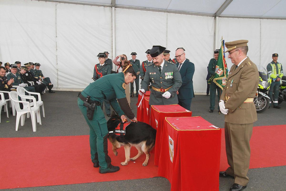 El teniente coronel durante el acto de reconocimiento a la trayectoria del perro Ford.