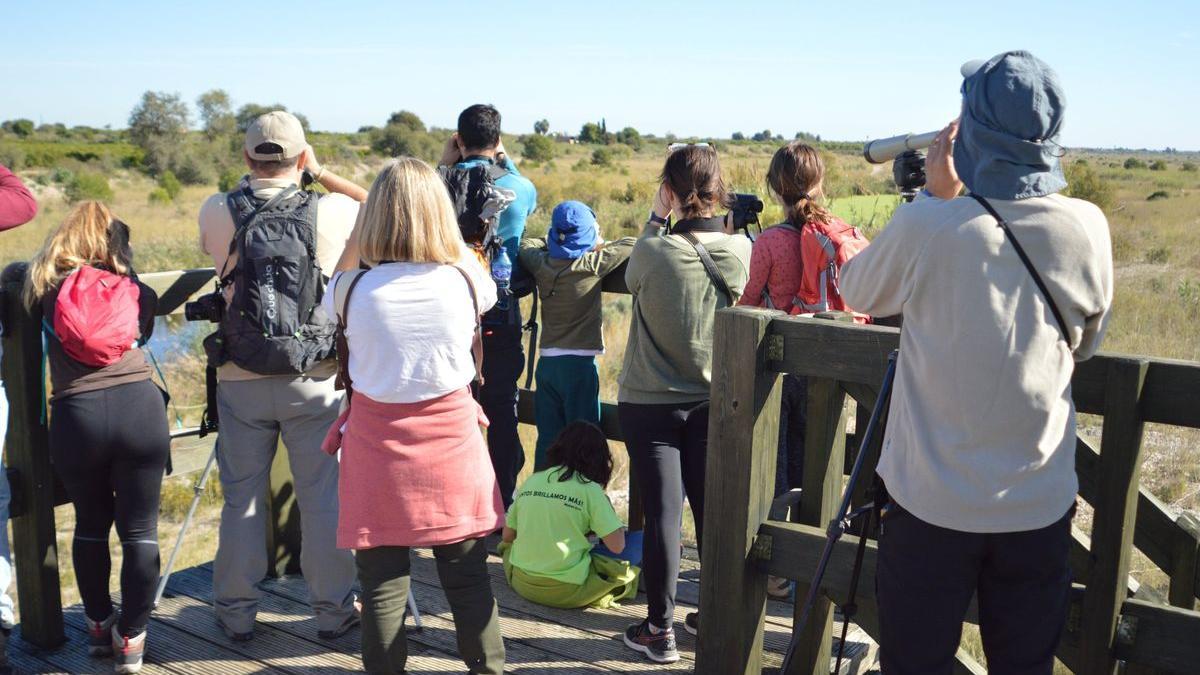 Almassora ha organizado rutas guiadas familiares para observar las aves del Paraje Protegido del riu Millars.