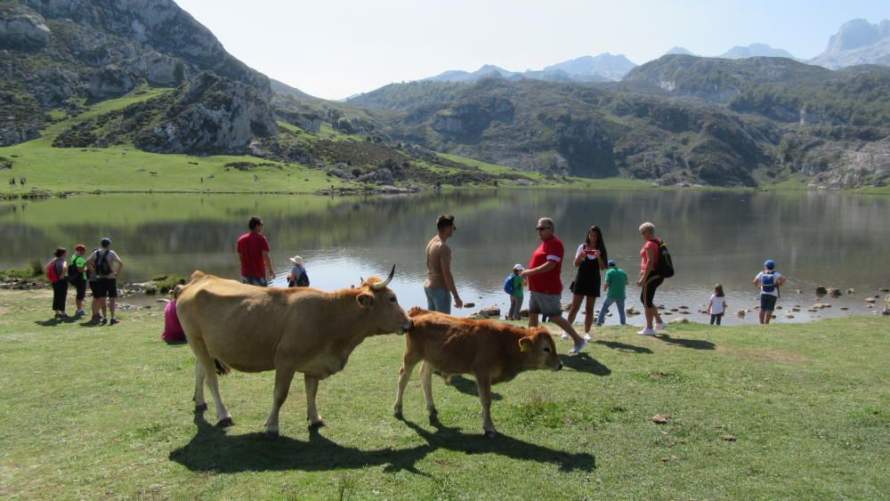 Otra espectacular jornada en los Lagos de Covadong