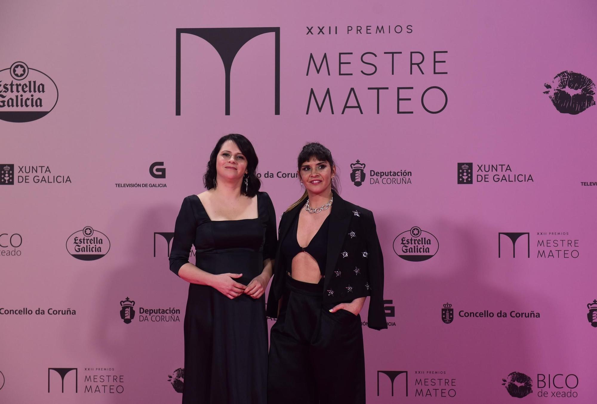 Gala dos premios Mestre Mateo 2024