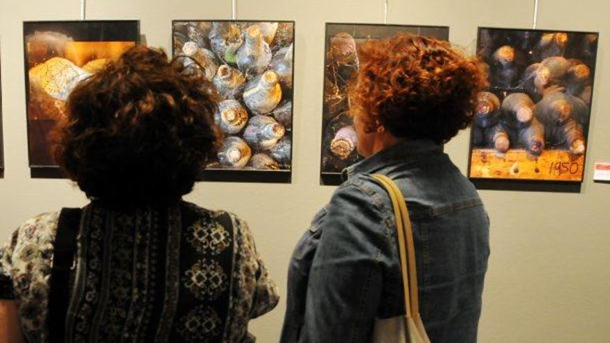 Exposició de Foto Art a la sala de la Plana de l&#039;Om