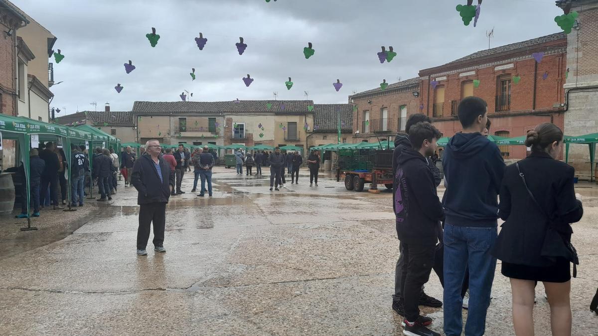 GALERÍA | Morales de Toro celebra una Fiesta de la Vendimia deslucida por la lluvia