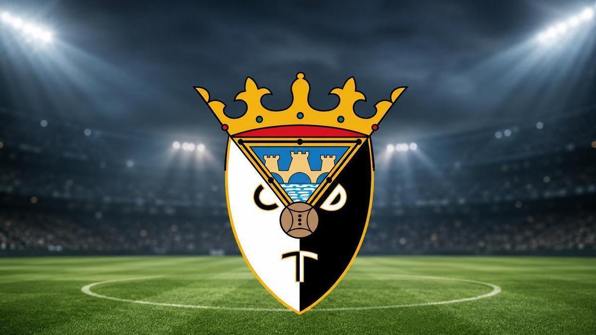 El escudo del Tudelano.