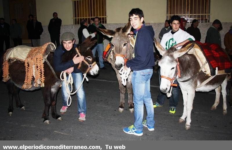 GALERÍA FOTOS - La provincia celebra Sant Antoni