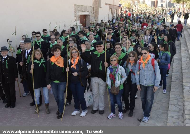 GALERÍA DE FOTOS - Romería Magdalena 2014 (4)