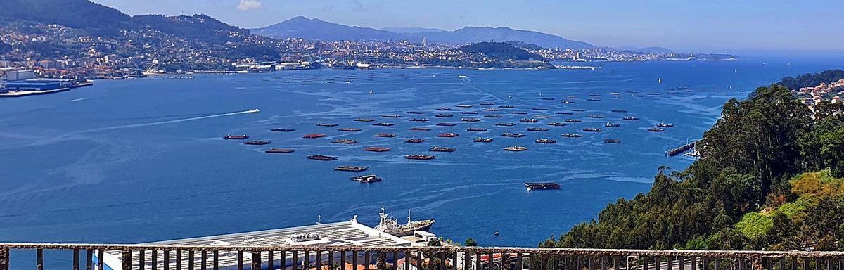 A Madroa. El monte de A Madroa ofrece una impresionante visión de norte a sur de la ciudad, una estampa que se complementa con las guardianas de la ría, las Islas Cíes. La entrada de la ría en la ciudad y la mayor parte de los barrios están a un golpe de vista desde este mirador. Desde Travesía de Vigo al Castro (en el centro de la imagen) o Teis, esta vista permite contemplar como se expande la ciudad y constituye un pequeño lujo al alcance de toda la ciudadanía. La próxima vez que se tome la carretera de la Madroa para ir al parque zoológico, por ejemplo, merece la pena dedicarle unos minutos a este mirador o a su vecino del parque Vixiador, lugar de recreo, rutas en bici y senderismo.