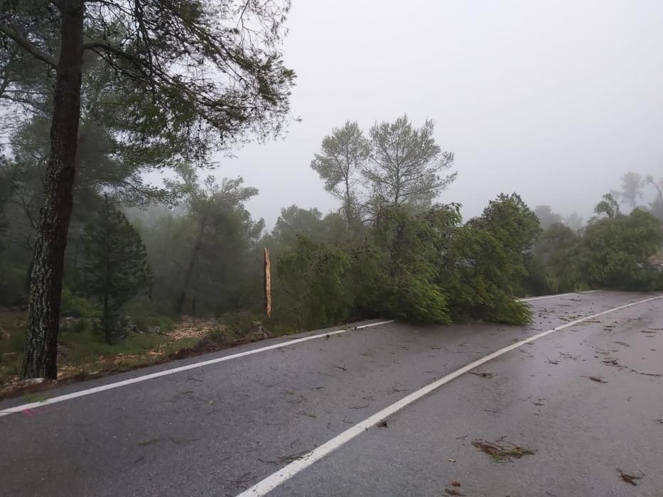 El temporal descarga sobre Ibiza y Formentera