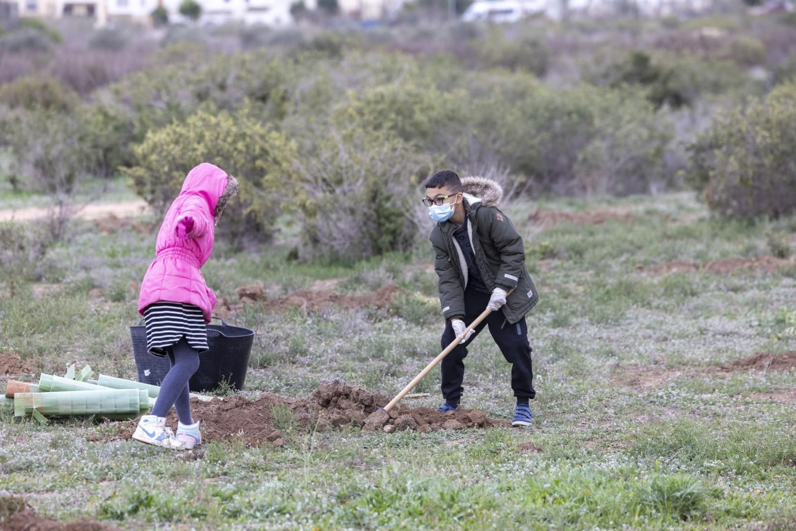 Jornada escolar plantación de especies autóctonas junto al parque natural de las lagunas de Torrevieja y La Mata