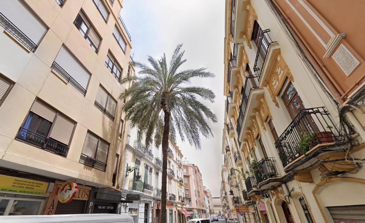 Adiós a la palmera más famosa de València, situada en la calle de Julio Antonio