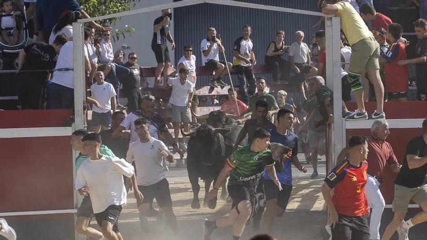 Miura y Fuente Ymbro protagonizan un encierro muy vistoso en Calasparra