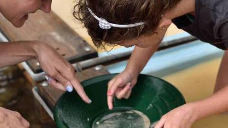 La gran fiesta del bateo del oro en Navelgas se acerca al Club