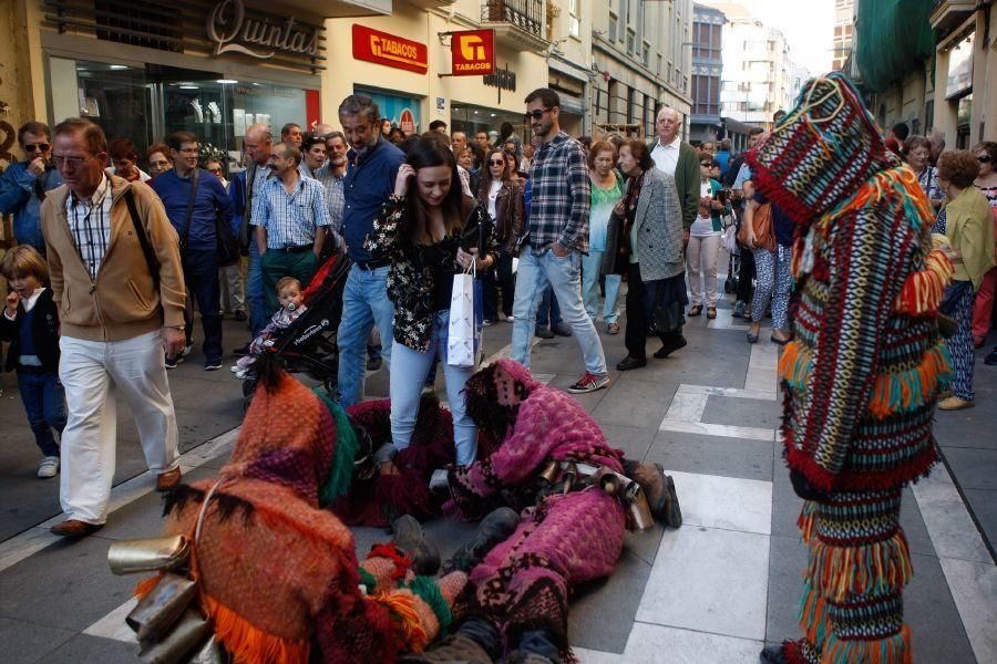 Las Mascaradas toman Zamora