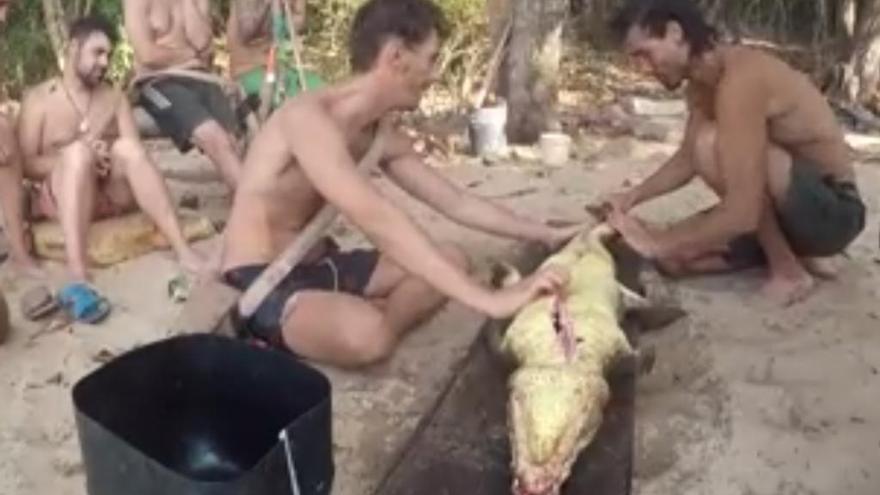 Moment de «La Isla» en el qual els participants cacen un caiman