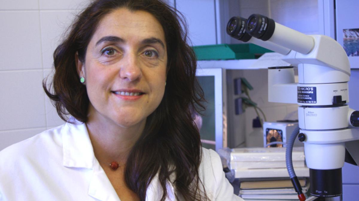 María Montoya, jefa del grupo de Inmunología Viral del CIB Margarita Salas.