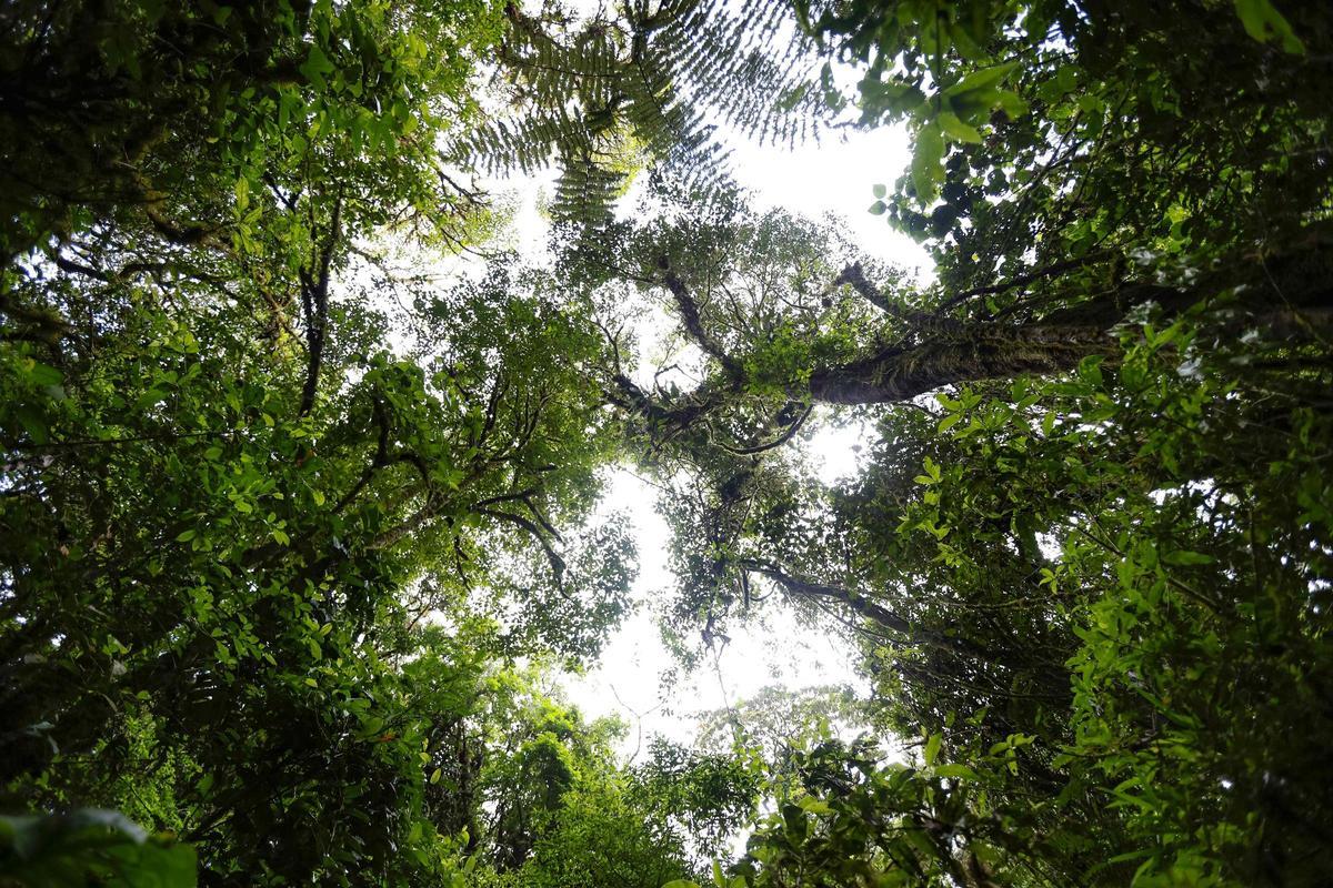 Científicos internacionales apoyan la polémica Ley de Restauración de la Naturaleza de la UE