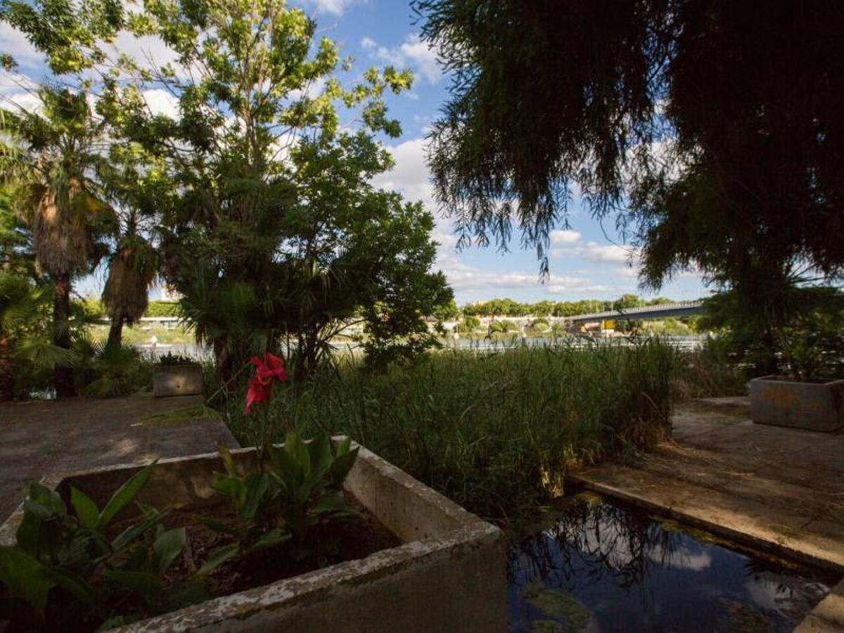 El Jardín Americano de Sevilla, en La Cartuja, en imágenes
