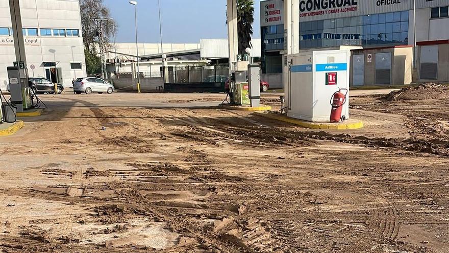 Barro que dejó la inundación en las instalaciones de la cooperativa de Algemesí.