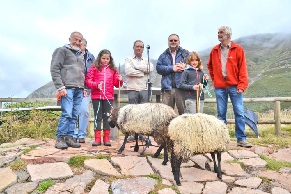 Romería de la trashumancia en los lagos de Salienc