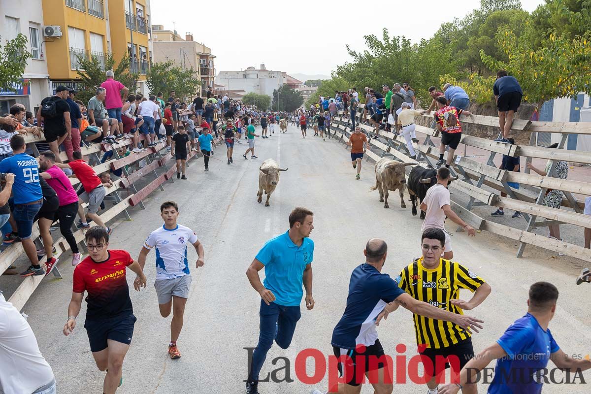 Segundo encierro de la Feria Taurina del Arroz en Calasparra