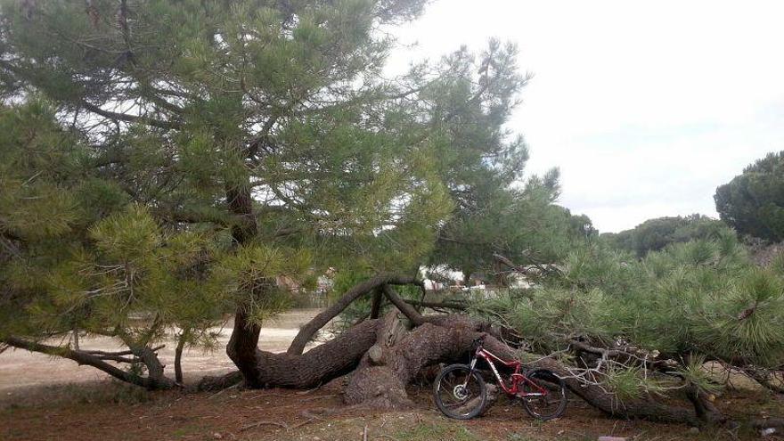 Protección Civil da por finalizada la alerta por fuertes vientos en Castilla y León