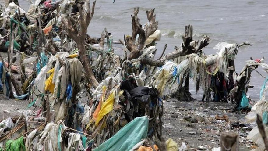 El ser humano ha generado 8.300 millones de toneladas de plástico
