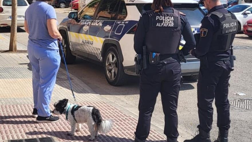 Alfafar impulsa el censo canino como medida de protección y de limpieza vial