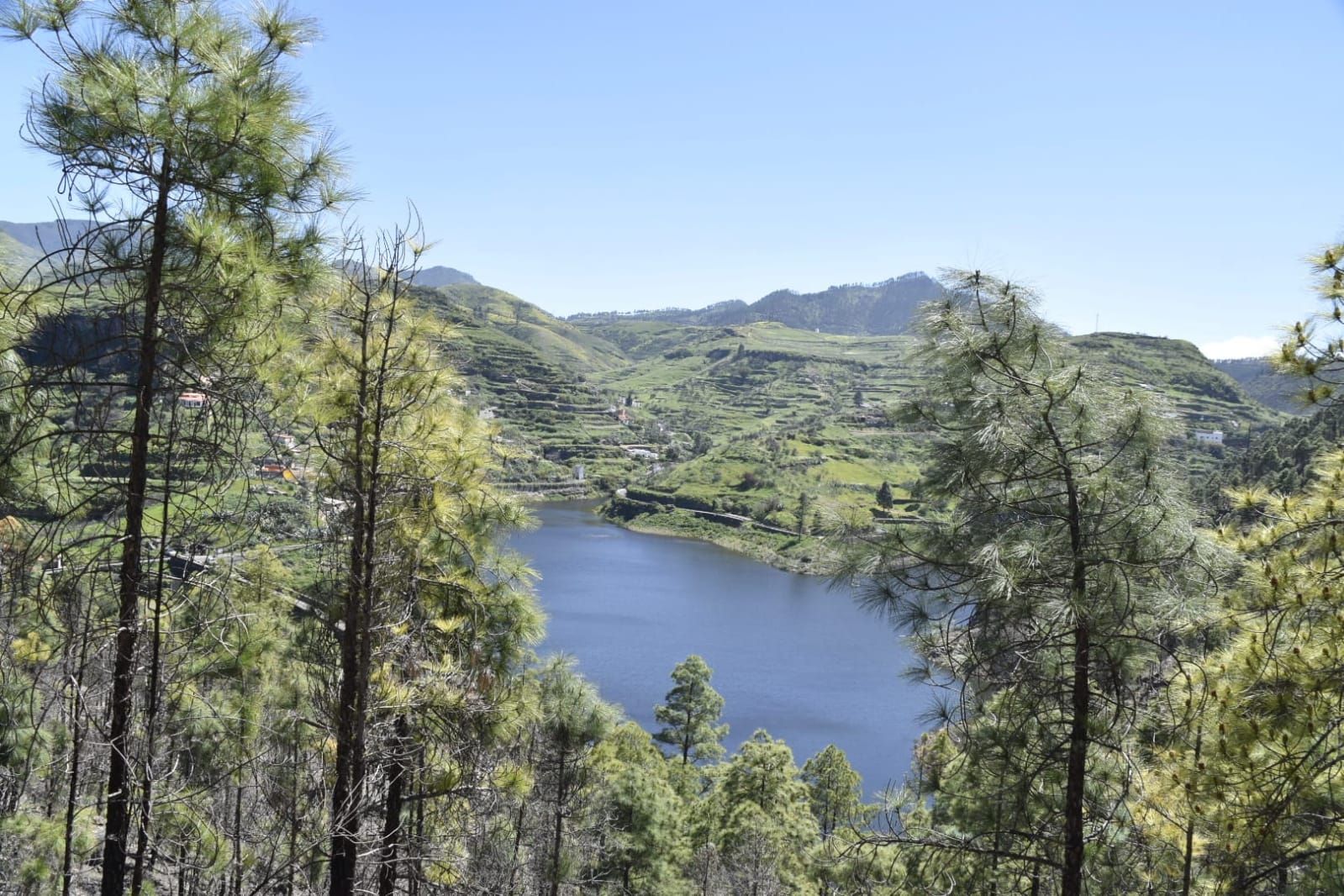 La primavera en Gran Canaria