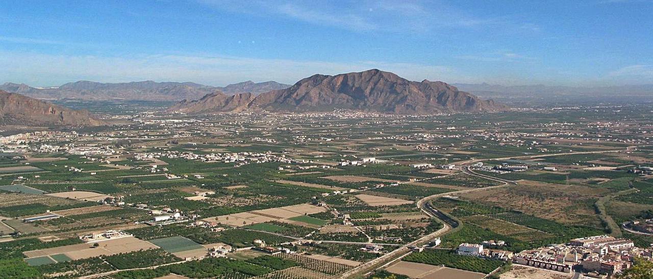 Imagen panorámica de la huerta tradicional de Orihuela.  |