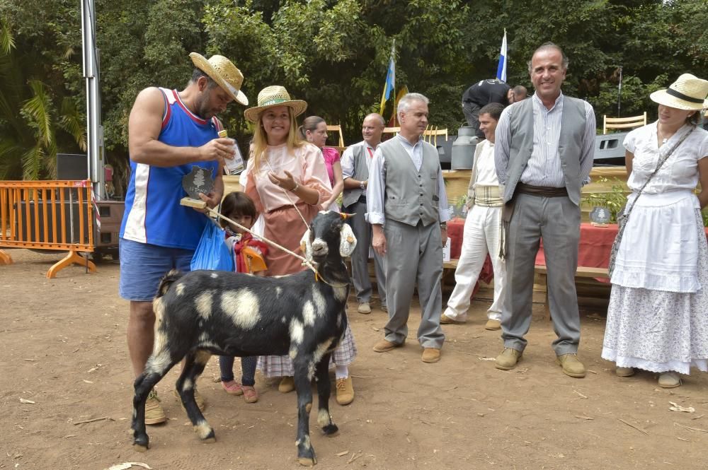 Feria de ganado