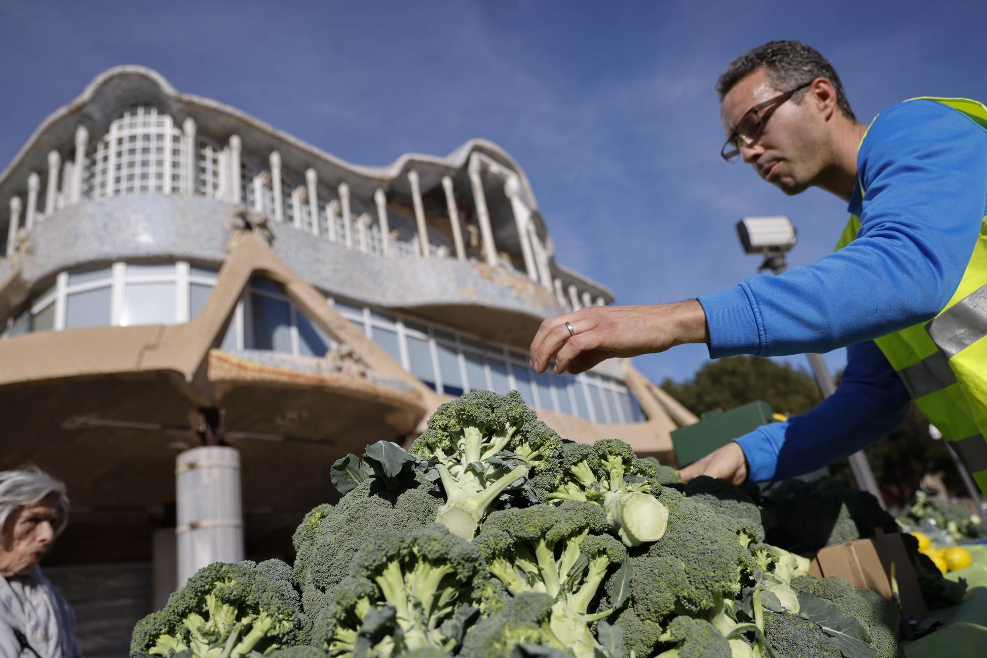 Las imágenes del plante de los agricultores frente a la Asamblea, donde han repartido frutas y hortalizas