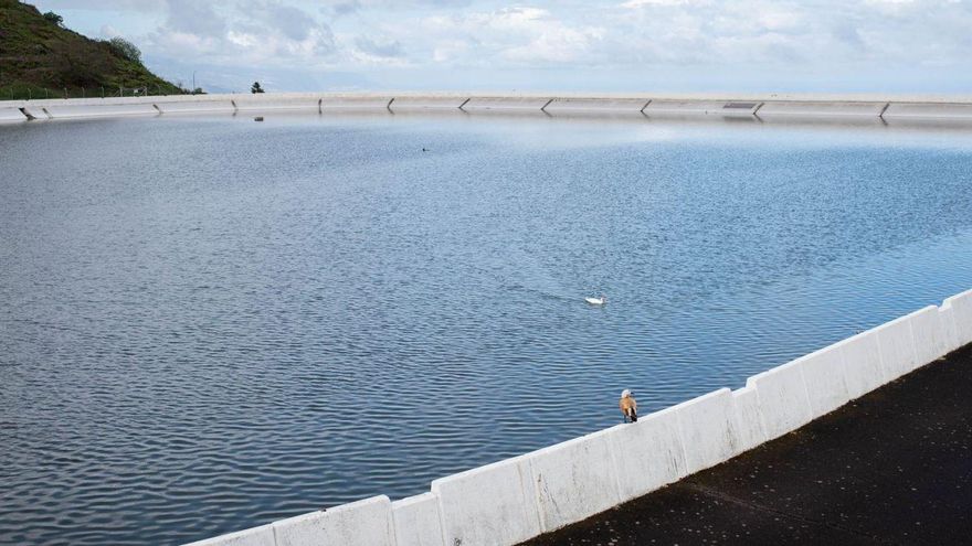 The rafts of Tenerife maintain an “acceptable” 33% of their total capacity