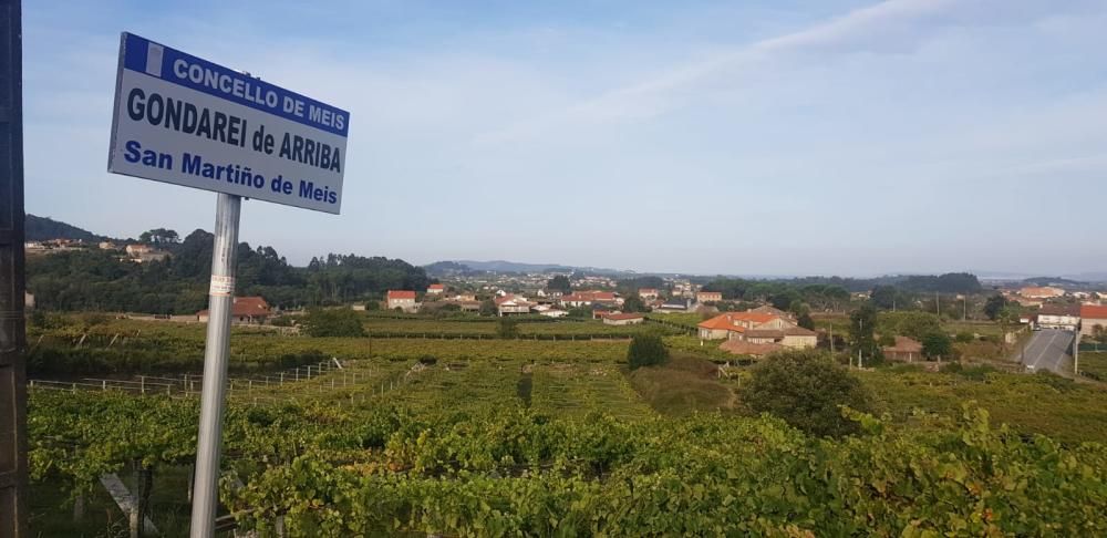 Corren tiempos de vendimia en Galicia.