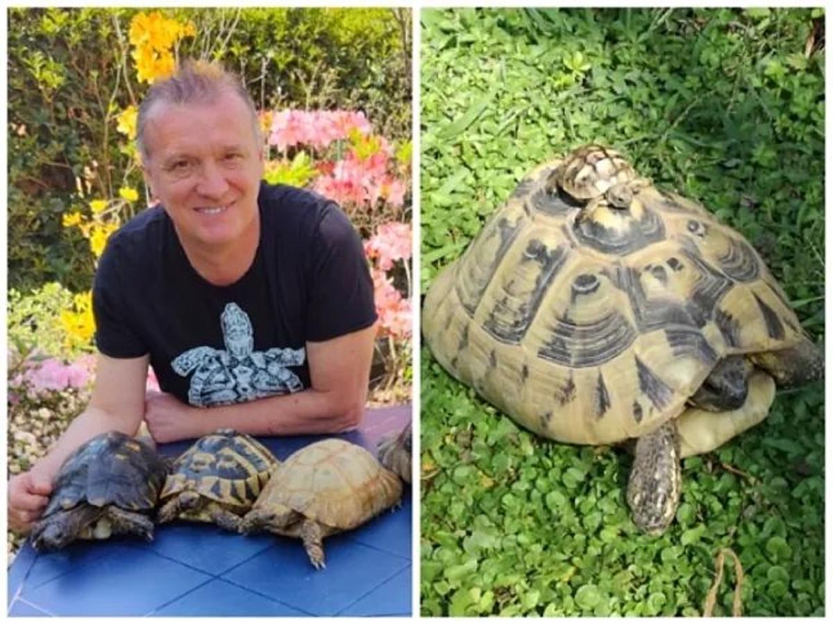 Renato Gobbetto y algunas de sus tortugas