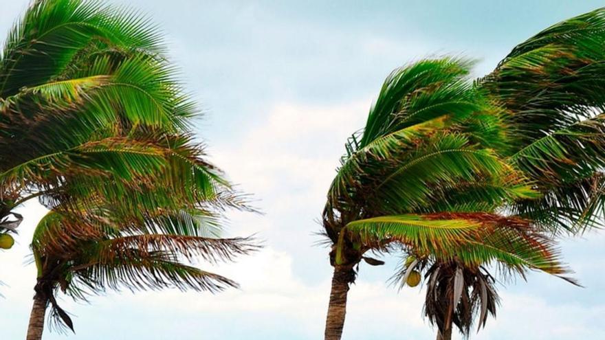 Declaran la alerta por vientos de hasta 90 kilómetros en zonas de Tenerife, La Palma, La Gomera y Gran Canaria