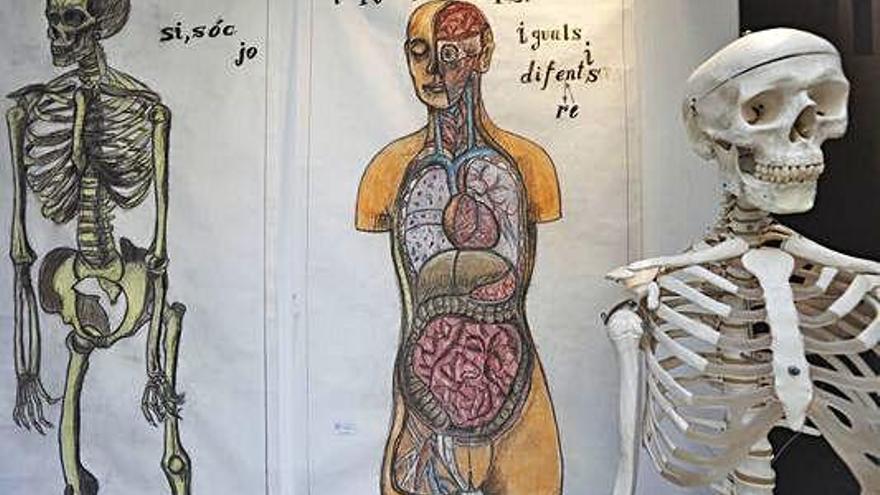 Pep Admetlla dirigeix un taller artístic basat en l&#039;anatomia per a l&#039;alumnat de l&#039;escola Eiximenis