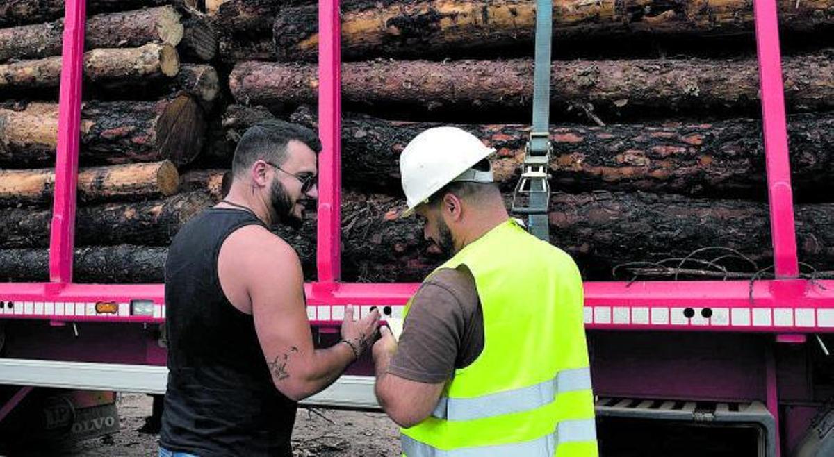 Un camión sale cargado de madera entre el bosque. | |  ANA BURRIEZA