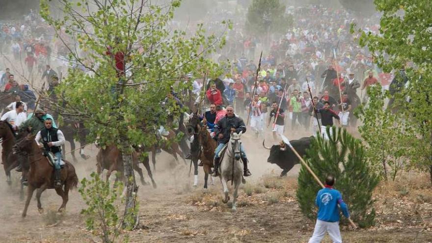 Un momento de la celebración del Torneo del Toro de la Vega en la localidad de Tordesillas (Valladolid). Foto Ical