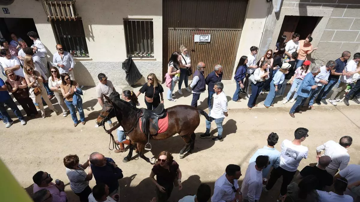 Un cortocircuito y un transformador quemado provocaron la suspensión de las carreras de caballos en el Día de la Luz