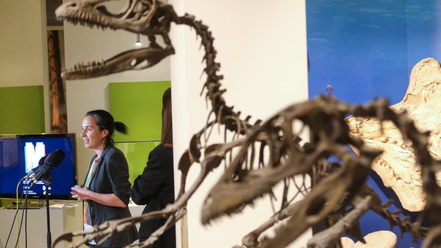 Elche celebra de viernes a domingo el Día de los Museos con puertas abiertas y todo tipo de actividades
