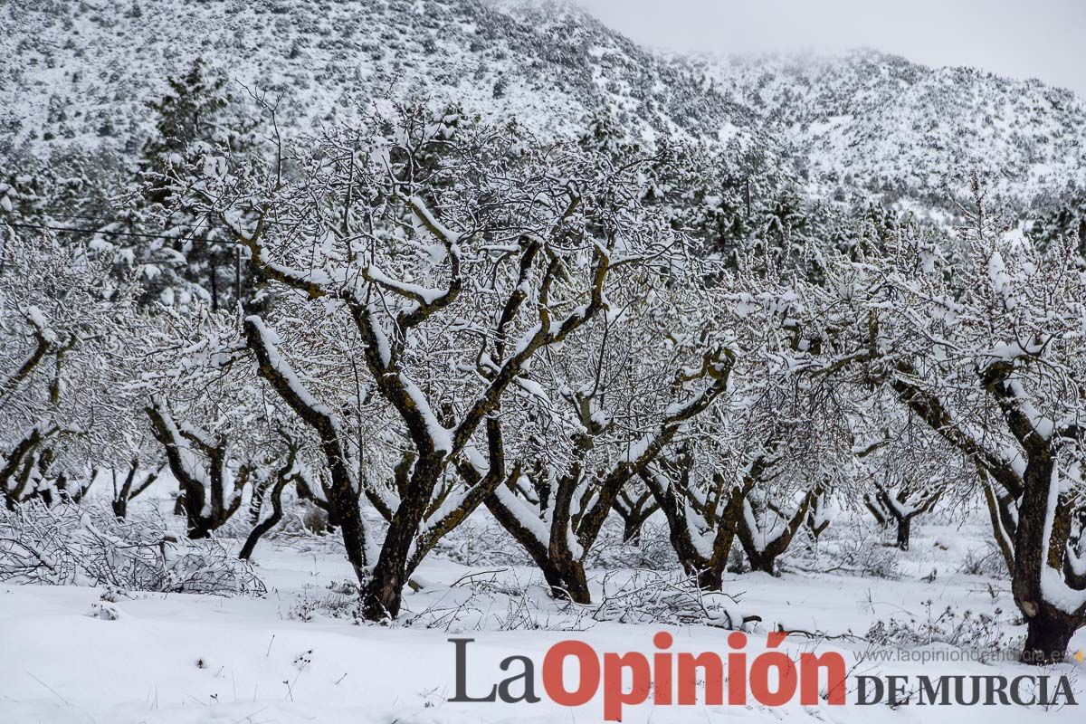 La comarca del Noroeste ofrece una estampa invernal