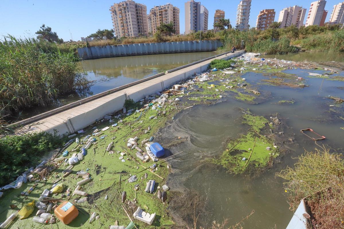 Esta es la última barrera contra la contaminación de plásticos antes de que el agua llegue al mar en Guardamar. Imagen de archivo. La CHS realiza una limpieza periódica de esta zona pero se mantiene limpia apenas un par de días