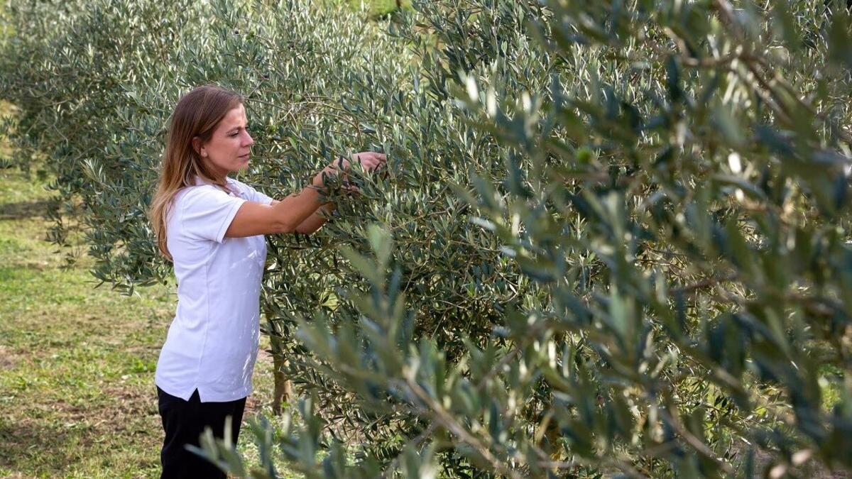 BBVA apoya el emprendimiento rural joven con sus Premios a los Mejores Productores Sostenibles