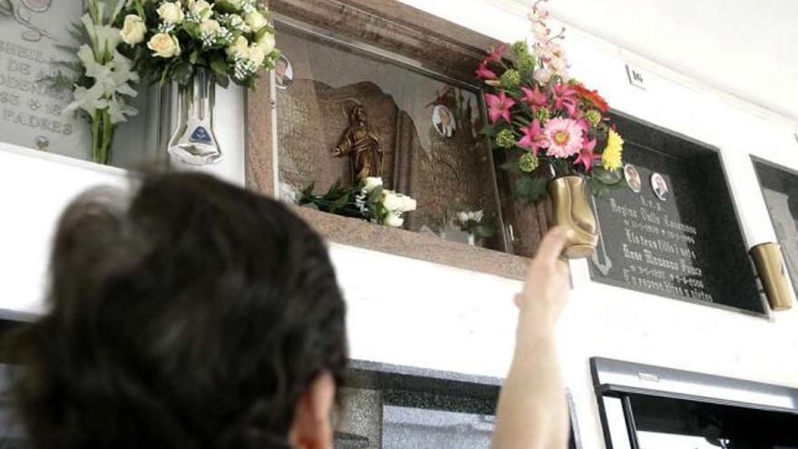 Destrozan los cristales y roban recordatorios en 40 nichos del cementerio de San José