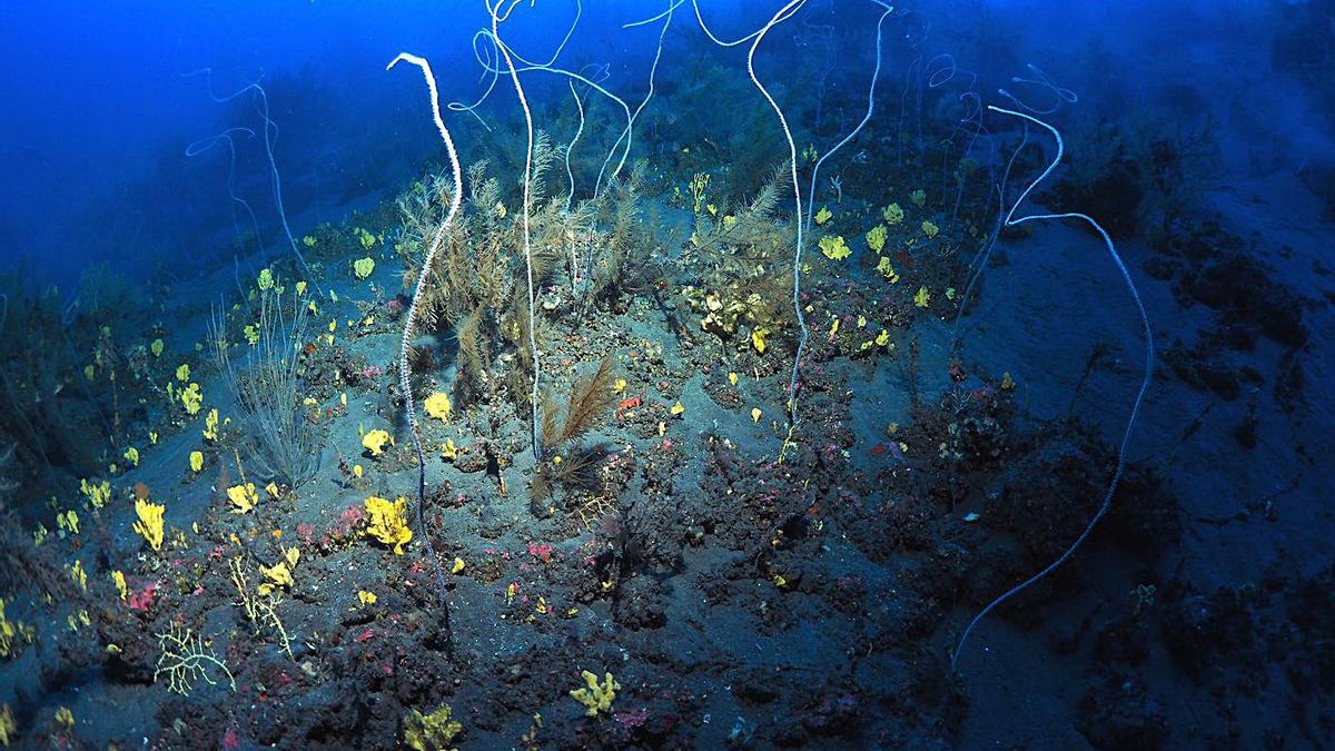 Daños «corregibles» de la acción humana