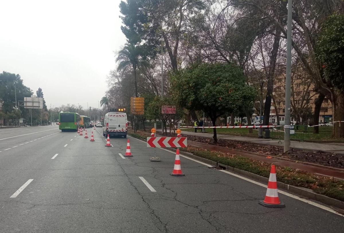 Corte de tráfico en dos de los carriles descendentes de la avenida de Vallellano, durante la tarde de este lunes.