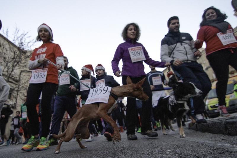 La San Silvestre de Cáceres en imágenes