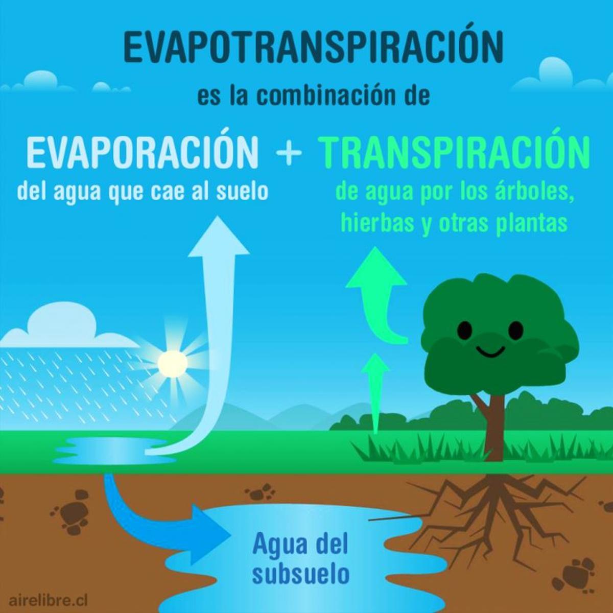 La evapotranspiración, un proceso clave para el clima