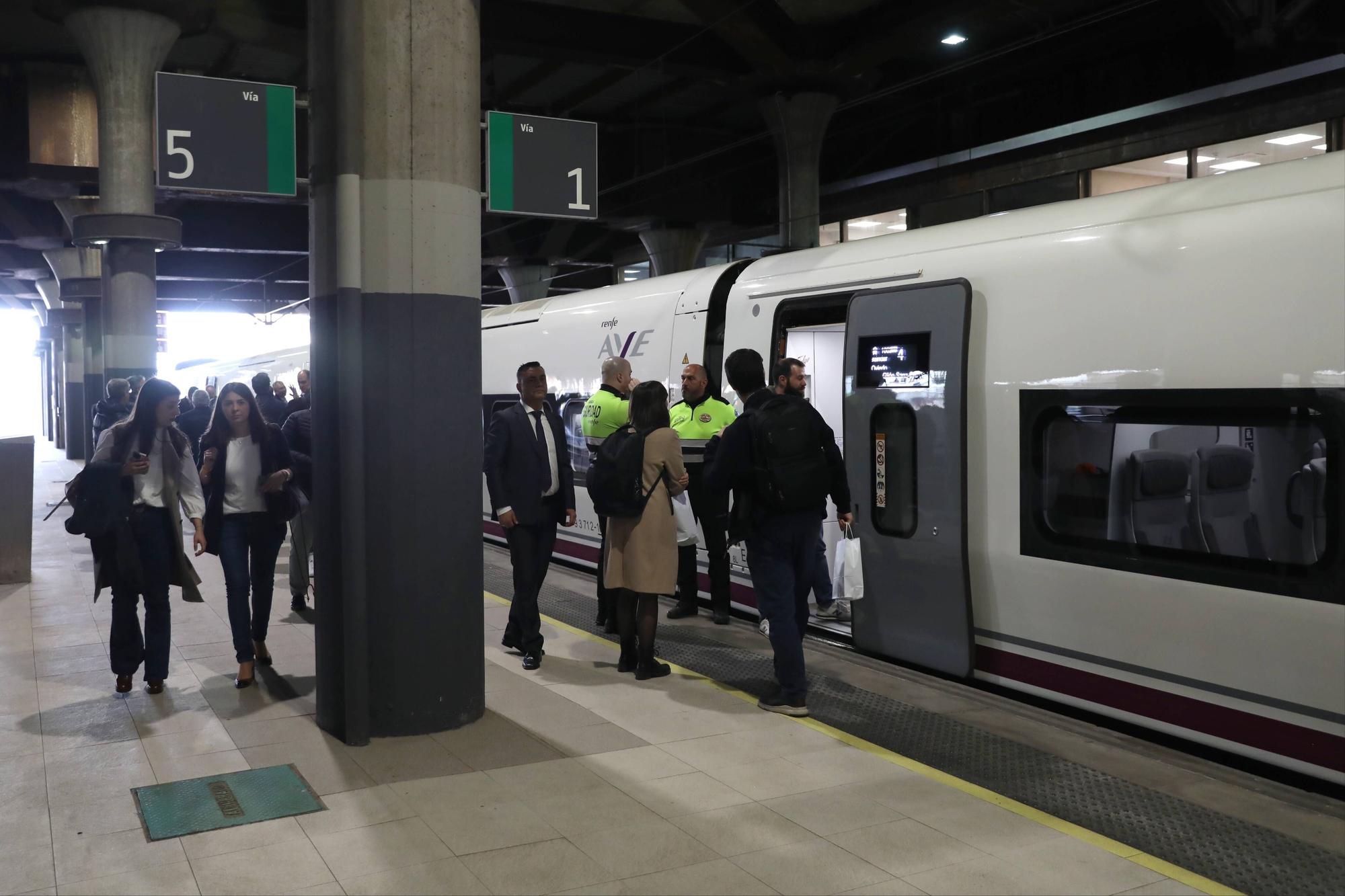 EN IMÁGENES: Otro hito para la llegada de los Avril: el primer AVE con pasajeros completa un trayecto Madrid-Asturias
