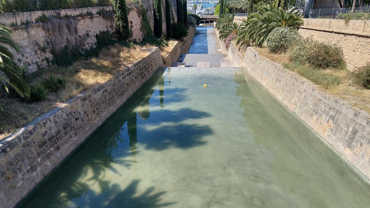 Emaya ha completado la limpieza del torrente de sa Riera.